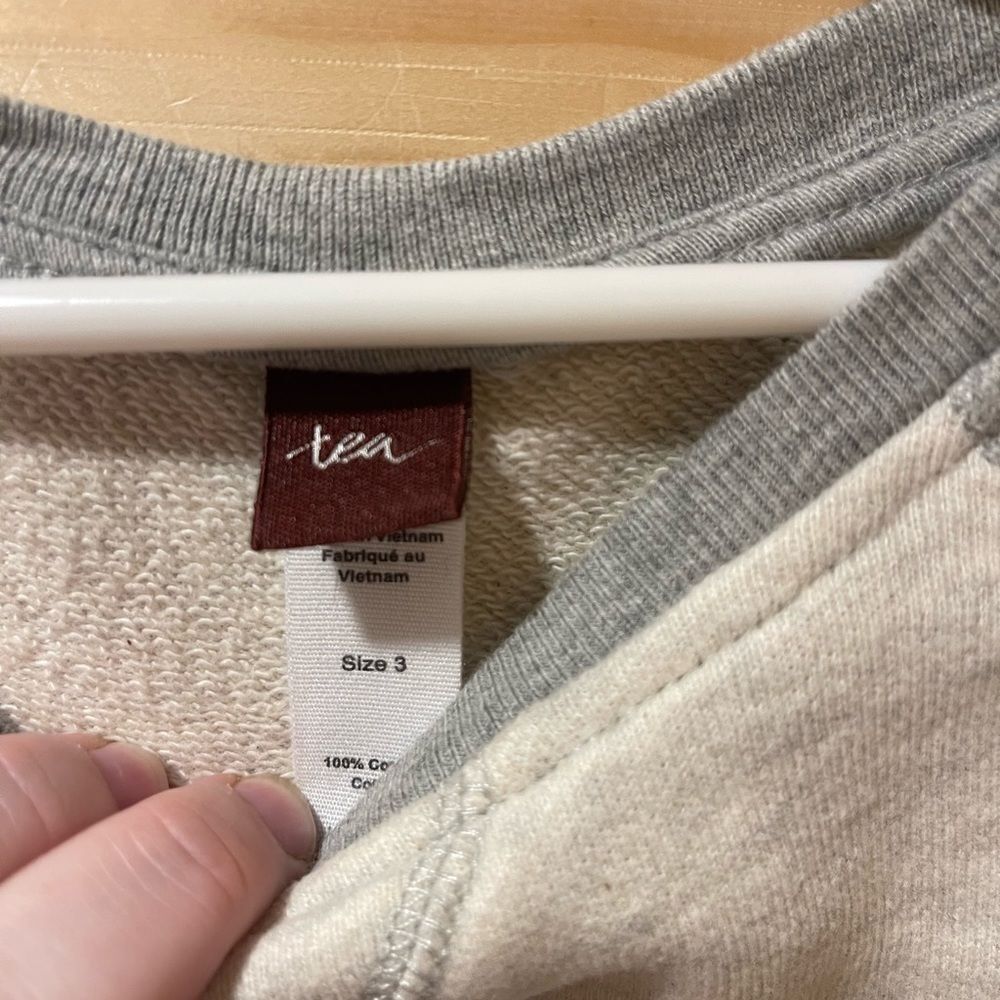 Tea Collection Raglan Gray Tea Collection Sweatshirt - Picture 2 of 4